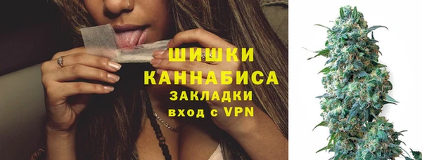 трава Белокуриха