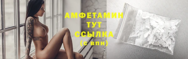 трава Белокуриха