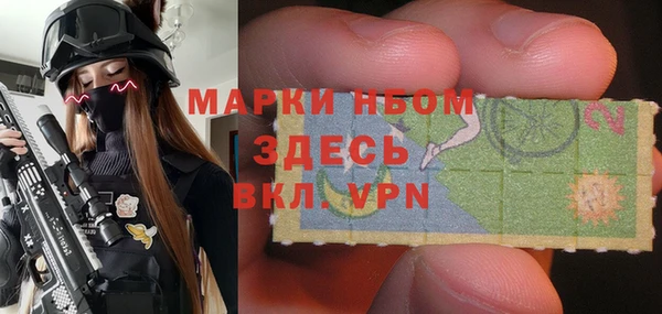 трава Белокуриха