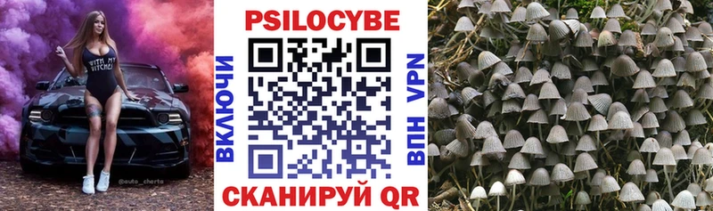 KRAKEN маркетплейс Елизово Псилоцибиновые грибы мицелий